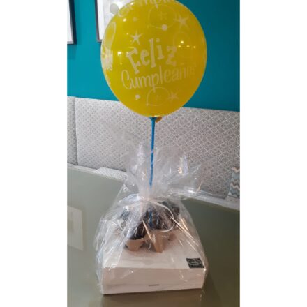 Sorpresas desde por la mañana