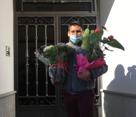 Flores y plantas a domicilio